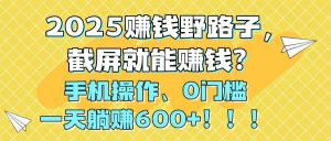 2025赚钱野路子，截屏就能赚钱？手机操作0门槛，一天躺赚600+！！！-七七项目网
