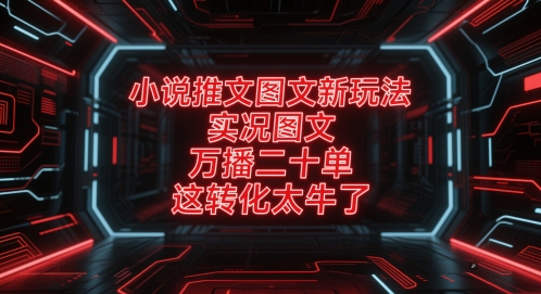 小说推文图文新玩法，实况图文，万播二十单，这转化太牛了！-七七项目网