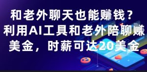 和老外聊天也能挣钱?利用AI工具和老外陪聊挣美金,时薪可达20刀-七七项目网