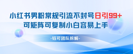 小红书男粉常规引流不封号日引99+变现简单 可矩阵可复制小白容易上手-七七项目网
