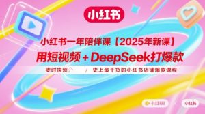 小红书一年陪伴课【2025年新课】，用短视频+deepSeek打爆款，史上最干货的小红书店铺爆款课程-七七项目网