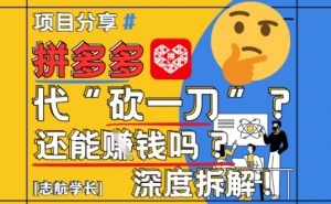 【2025最新】拼多多代坎助力项目深度拆解：还能挣钱吗?全流程玩法-七七项目网
