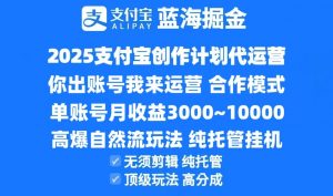2025支付宝创作分成计划代运营,高爆自然流玩法,纯挂机高分成,合作共赢模式!-七七项目网