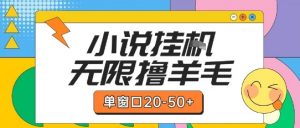 最新小说挂G自撸玩法本人实操单窗口20-50+可矩阵放大操作【揭秘】-七七项目网