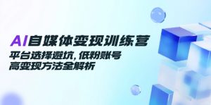 AI自媒体变现训练营,平台选择避坑,低粉账号高变现方法全解析-七七项目网