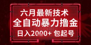 六月最新技术全自动暴力撸金,稳定日入2k+包起号,长期稳定【揭秘】-七七项目网