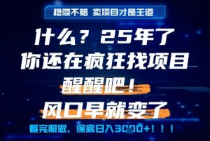 什么？25年你还在疯狂找项目做，醒醒吧，看完这些你全都懂了！【揭秘】-七七项目网