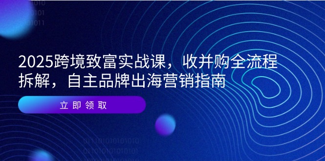 2025跨境致富实战课，收并购全流程拆解，自主品牌出海营销指南-七七项目网