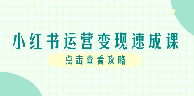 小红书运营变现速成课，账号搭建到暴力起号，个人IP全流程指南-七七项目网