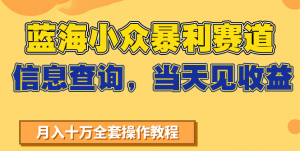 蓝海小众暴利赛道，信息查询，当天见收益，不讲玄学，7天搞了2万+-七七项目网