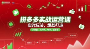 拼多多实战运营课，实时玩法，爆款打造，改销量，补大单，AB单，直播等(更新2025月)-七七项目网