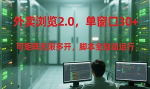 外卖浏览2.0,单窗口30+可矩阵无限多开,脚本全自动运行【揭秘】-七七项目网