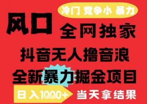 25年6月高爆抖音无人直播最新撸音浪掘金项目，解放双手小白可做，无脑日入1k+，门槛低【揭秘】-七七项目网