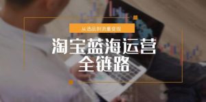 淘宝蓝海运营全链路,从选品到流量变现,小类目突围完整方案-七七项目网
