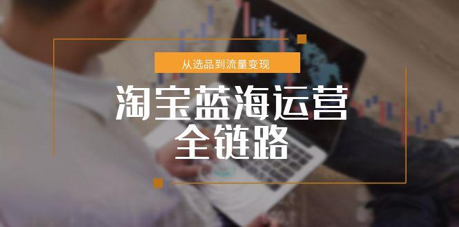 淘宝蓝海运营全链路，从选品到流量变现，小类目突围完整方案-七七项目网
