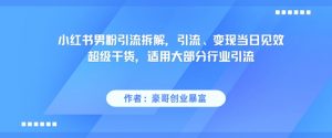 小红书男粉引流拆解，引流、变现当日见效超级干货，适用大部分行业引流-七七项目网