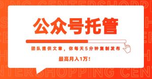 【公众号托管 】我提供文章,你每天5分钟复制发布,最高月入1W-七七项目网