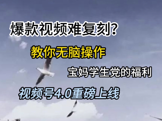 视频号4.0重磅上线，爆款视频难复刻？教你无脑操作宝妈学生党的福利【揭秘】-七七项目网