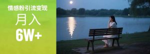 情感粉引流变现实操课:单月变现6w+,情感粉引流变现实操课-七七项目网