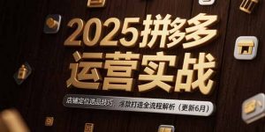 2025拼多多运营实战:店铺定位选品技巧,爆款打造全流程解析(更新6月-七七项目网