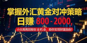 掌握外汇黄金对冲策略,日赚 800 - 2000,小众高回报创业机会,助你实...-七七项目网