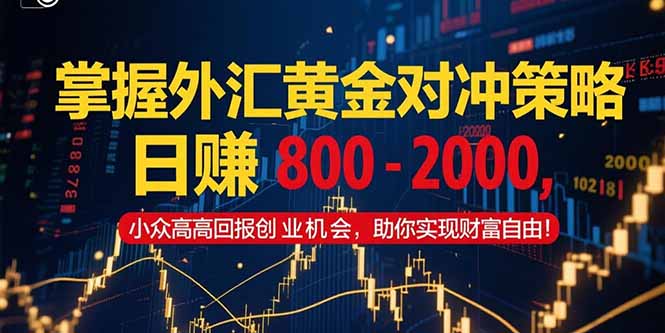 掌握外汇黄金对冲策略，日赚 800 – 2000，小众高回报创业机会，助你实…-七七项目网