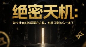 付费文章：绝密天机：如今社会的阶层攀升之路，也就只剩这么一条了-七七项目网
