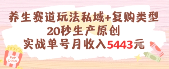 养生赛道玩法私域+复购类型，20秒生产原创实战单号月收入5k+-七七项目网
