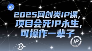 2025网创类IP课,项目会死IP永生,可操作一辈子-七七项目网