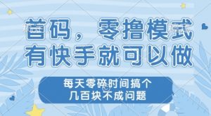首码零撸项目，有快手就可以做，每天业务时间搞个几张不是问题【揭秘】-七七项目网