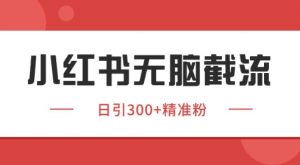 小红书截流同行客源，独家野路子获客玩法 日引200+暴力获客【揭秘】-七七项目网