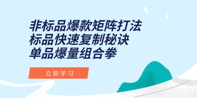 非标品爆款矩阵打法，标品快速复制秘诀，单品爆量组合拳-七七项目网