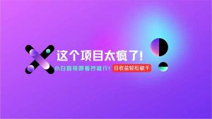 用AI工具无脑生成，小白零成本操作，轻松日入1000+，现在入局正当时！-七七项目网