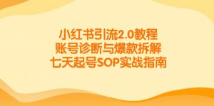 小红书引流2.0教程，账号诊断与爆款拆解，七天起号SOP实战指南-七七项目网