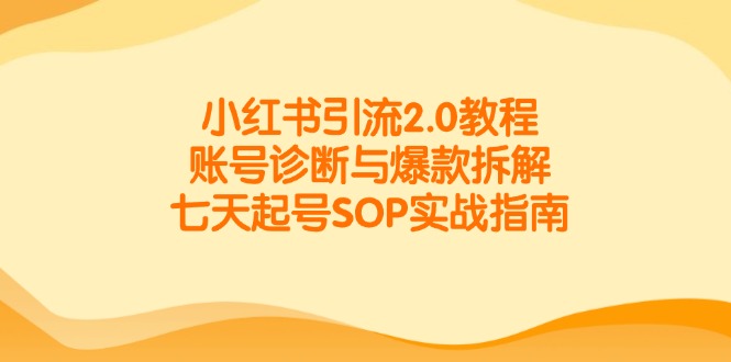 小红书引流2.0教程，账号诊断与爆款拆解，七天起号SOP实战指南-七七项目网