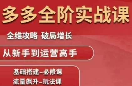 拼多多全阶实战课程，全维攻略，破局增长，从新手到运营高手-七七项目网