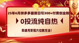 25年6月拼多多最新日引300+付费创业粉,0投流纯自热 卖课月变现六位数方法-七七项目网