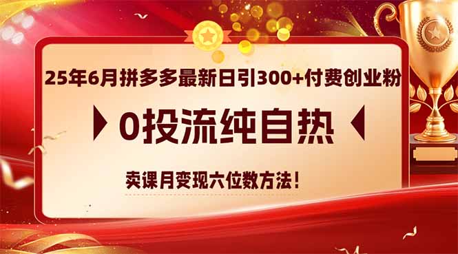 25年6月拼多多最新日引300+付费创业粉，0投流纯自热 卖课月变现六位数方法-七七项目网