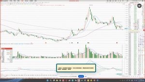 大师兄·鹿鼎山系列内部课程(更新6月)-七七项目网