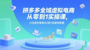 拼多多全域虚拟电商从零到1实操课，小白虚拟电商从0到1实操到精通-七七项目网