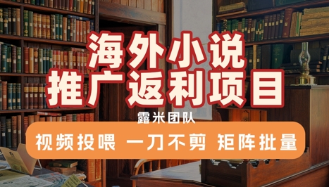 海外小说推广返利项目，视频投喂， 一刀不剪，矩阵批量-七七项目网