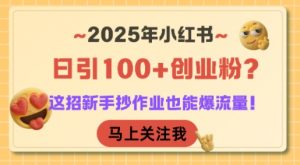 2025年小红书日引100+创业粉？这招新手抄作业也能爆流量！-七七项目网