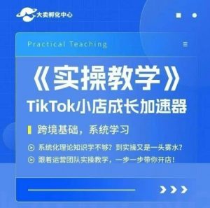 大卖家孵化中心TikTok实操课,TikTok小店成长加速器,跨境基础系统学习,一步一步带你开店-七七项目网