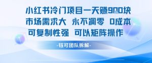 小红书冷门项目一天收益9张，市场需求大，0成本，可复制性强可以矩阵操作-七七项目网