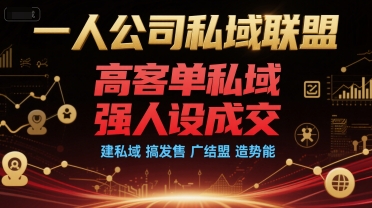 一人公司私域联盟，高客单私域，强人设成交，建私域 搞发售 广结盟 造势能-七七项目网