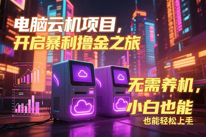 电脑云机项目 暴力撸金玩法，不需要养机 配置没有要求 单机100个窗口一…-七七项目网