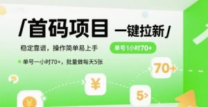 首码一键拉新项目，稳定靠谱，操作简单易上手，单号一小时70+，批量做每天5张【揭秘】-七七项目网