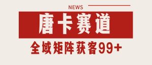 唐卡赛道私域引流获客 自热矩阵SOP日引流99+精准客资-七七项目网