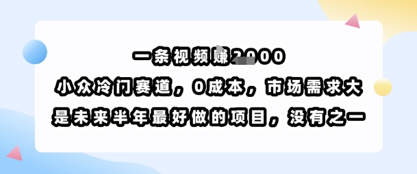 一条视频挣1k，小众冷门赛道，0成本，市场需求大，是未来半年最好做的项目，没有之一-七七项目网
