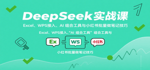 DeepSeek实战课：Excel、WPS接入、AI 组合工具与小红书批量做笔记技巧-七七项目网